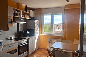 Квартира с двумя комнатами в Топнишке