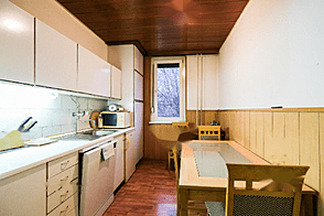 2,5-комнатная квартира в Шишке, Новая Лубляна