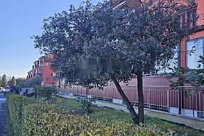 Жилье с одной комнатой в Копере