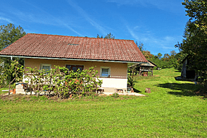 Дом, хозяйство Лончарев Дол