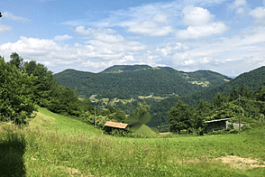 Дом, ферма Коншице - часть.