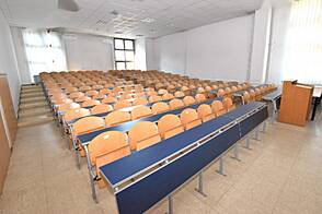 Дом для работы Шишка