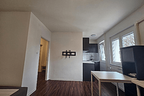 Студия-квартира Новошентвид