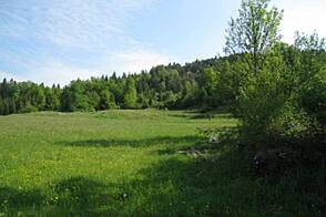 Дом, усадьба Беч.