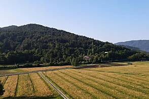 Дом Горичица в окрестностях Крима