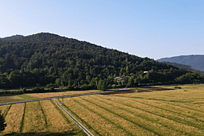 Дом Горичица в окрестностях Крима