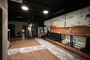 Торговое пространство в Бежиграде