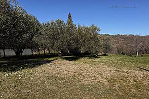 Обитель, Пиран, Паречаг