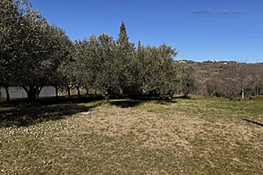 Обитель, Пиран, Паречаг