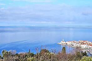 Жилище в Престижном Местоположении