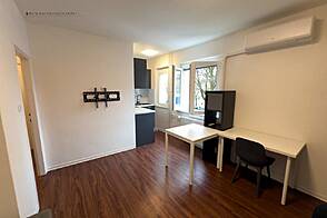 Студия в аренду в Новом Шентвиде