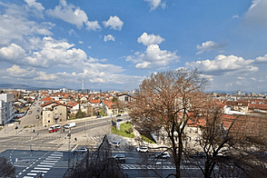 Трёхкомнатная квартира в Новых Шишках