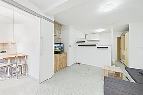 1-комнатная квартира Новая Шишка