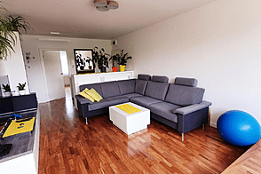 Трехкомнатная квартира в Любляне