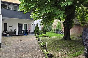 Квартира с 2,5 комнатами, Шишка