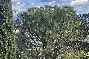 Квартира с двумя комнатами в Копере