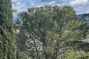 Квартира с двумя комнатами в Копере