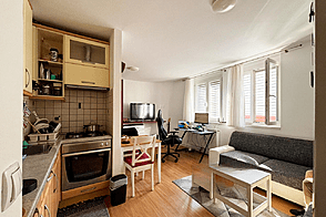 1-комнатная квартира в Новая Шишка