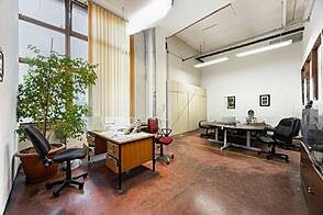 Офисная площадь Шишка