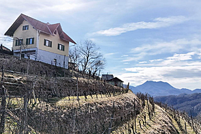 Планско, дом