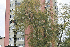 Трехкомнатная квартира Шишка