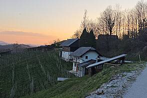 Жилище, Древеник