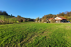 Метель 

Имение Новое Раковецкое Хозяйство.