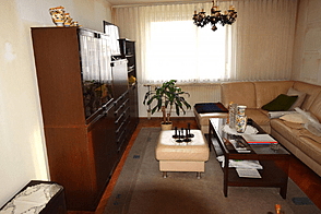 Трёхкомнатная квартира Любляна Вич