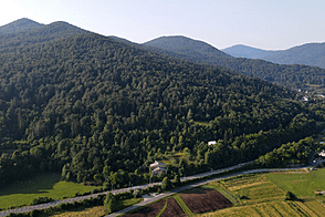 Горичица, участок сельского хозяйства, расположенный под Кримом.