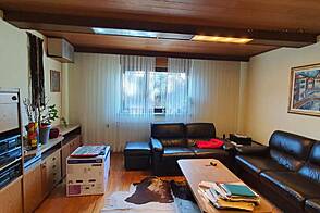 Дом, Шишка, Любляна