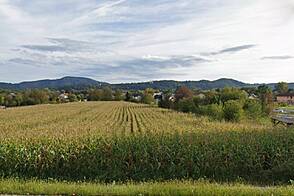 Участок земли в районе Мосте, Любляна