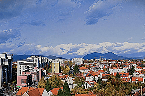 Квартира Шишка, состоящая из четырёх комнат