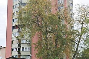Трехкомнатная квартира в Шишке