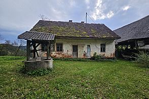 Дом в поселке Черешневец.