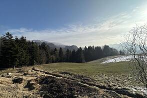 Каменная гора, ферма, усадьба.