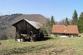 Особняк, хозяйство Мария-Река.
