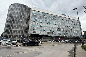 Пространство для работы Шишка