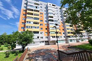 Дом в Ново-Лjubljana, Шишка