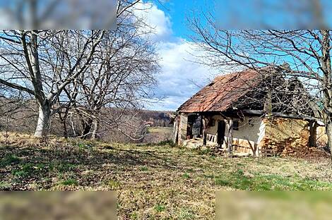 Продажа, недвижимость, земля сельскохозяйственного назначения: ДРАКОВЦИ, 9284 м2: 1