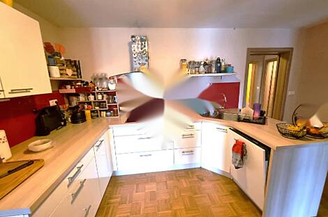 Тройчеков дом в Черновцах: 4