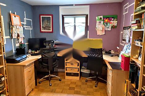 Тройчеков дом в Черновцах: 6