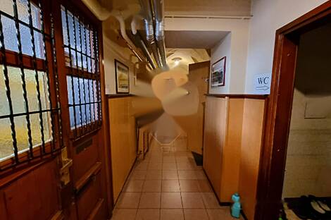 Тройчеков дом в Черновцах: 11