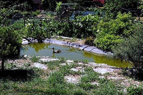 Жилище в Смокуче: 2