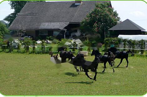 Верхняя Липница, дом: 30