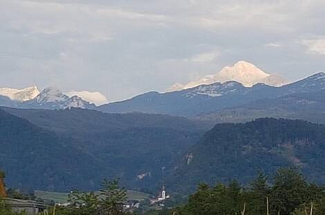 Жилье в Бледе: 2