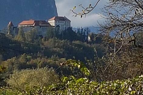 Жилье в Бледе: 11