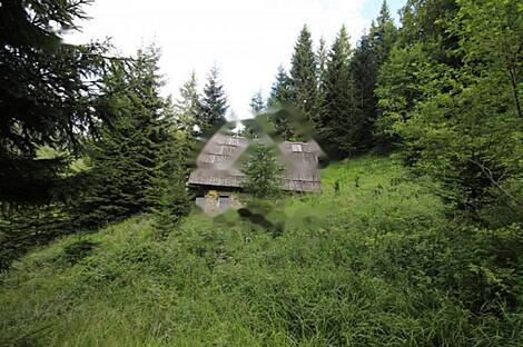 Жилище, Довье: 3