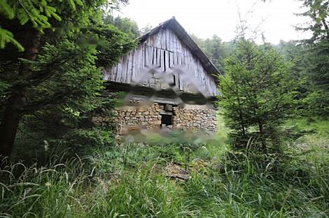 Жилище, Довье: 9