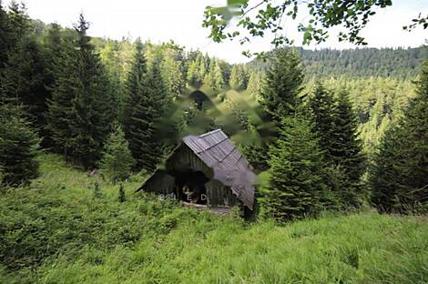 Жилище, Довье: 12