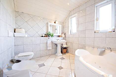 Здание в Бледе: 19